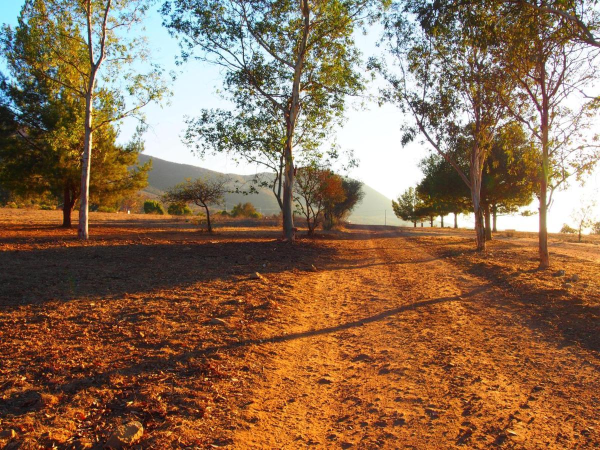 Casa Mayoral B&B Pet Friendly Valle de Guadalupe Kültér fotó