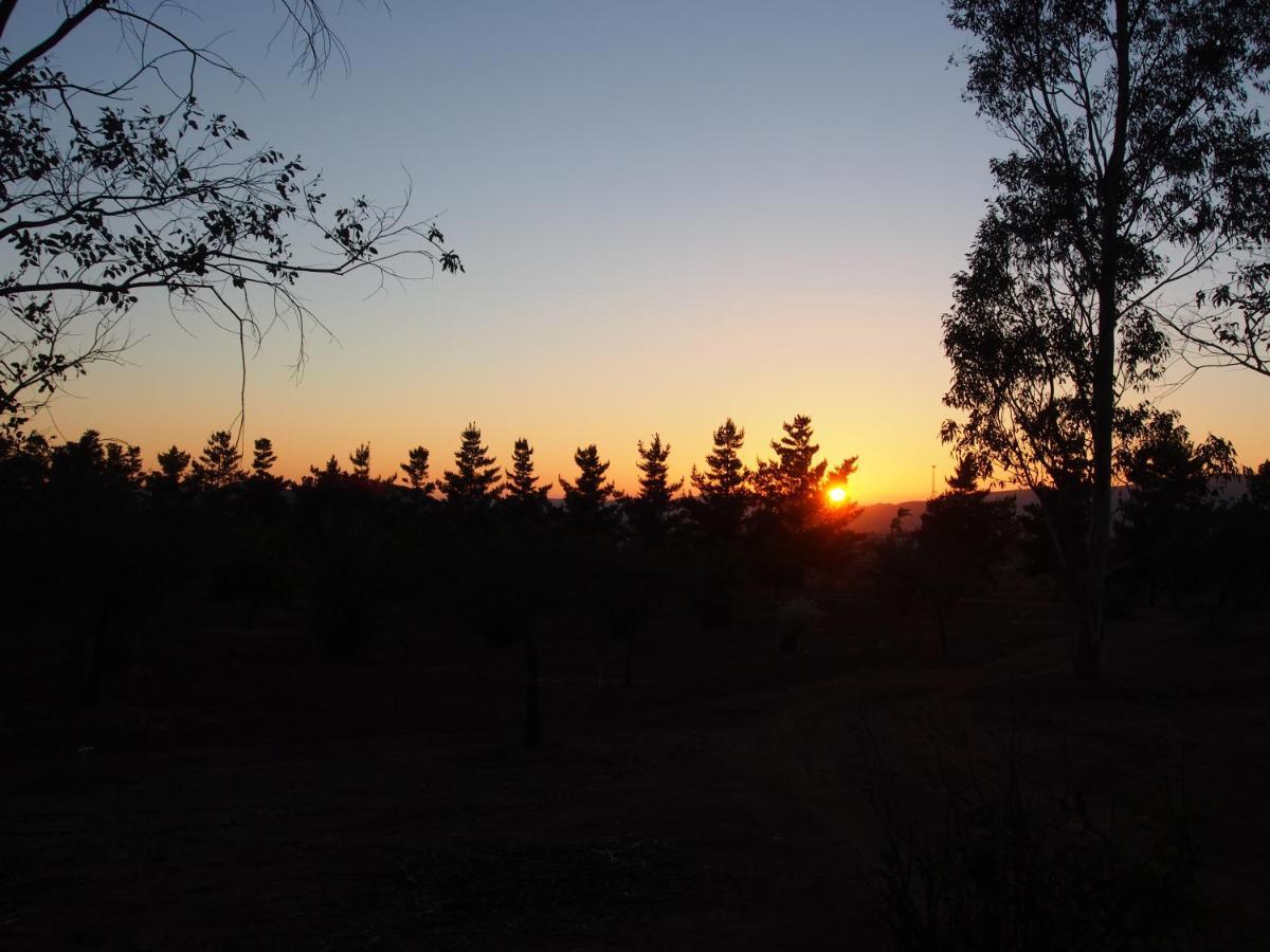 Casa Mayoral B&B Pet Friendly Valle de Guadalupe Kültér fotó