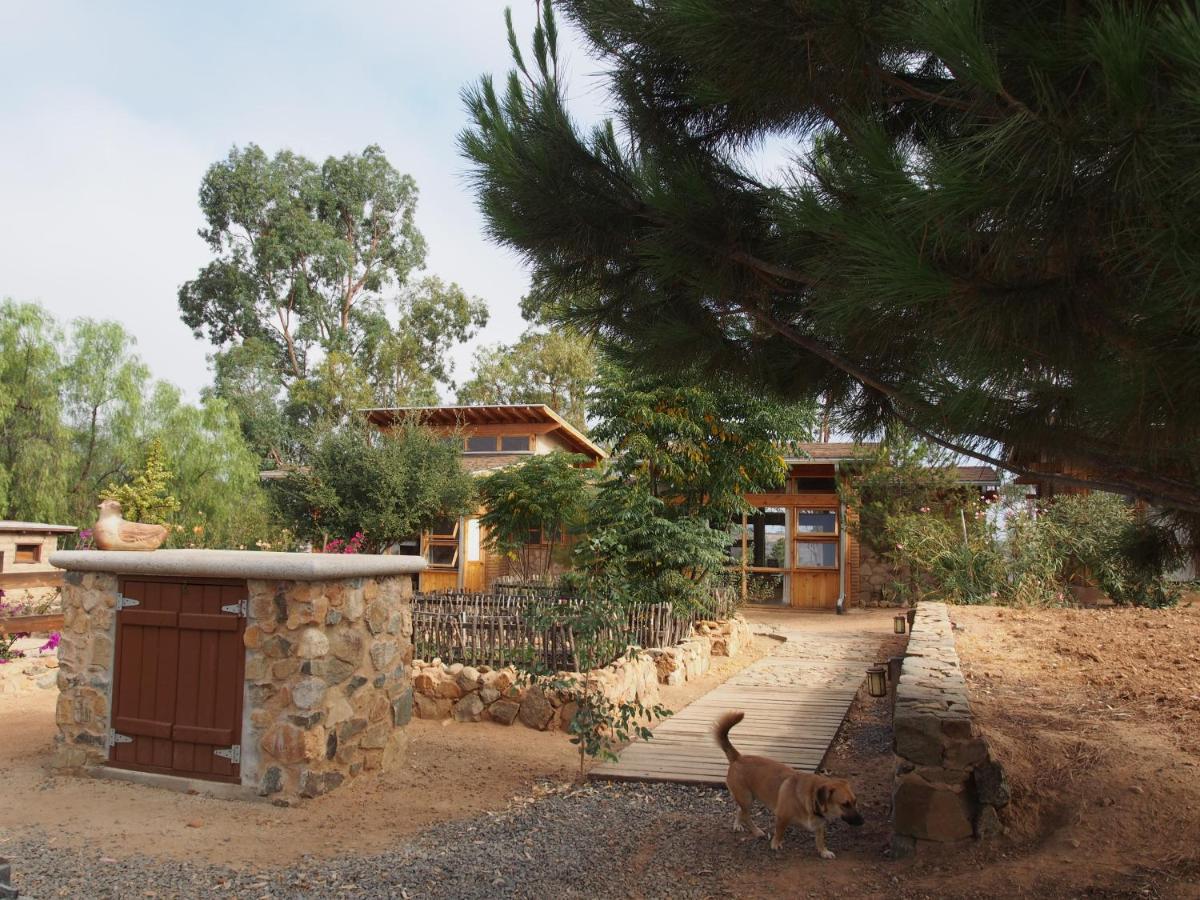 Casa Mayoral B&B Pet Friendly Valle de Guadalupe Kültér fotó