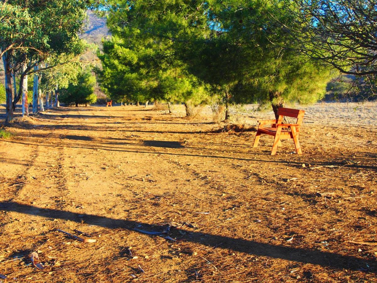 Casa Mayoral B&B Pet Friendly Valle de Guadalupe Kültér fotó