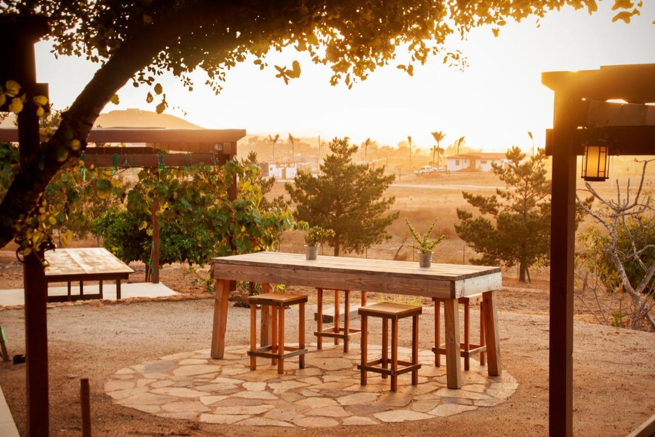 Casa Mayoral B&B Pet Friendly Valle de Guadalupe Kültér fotó