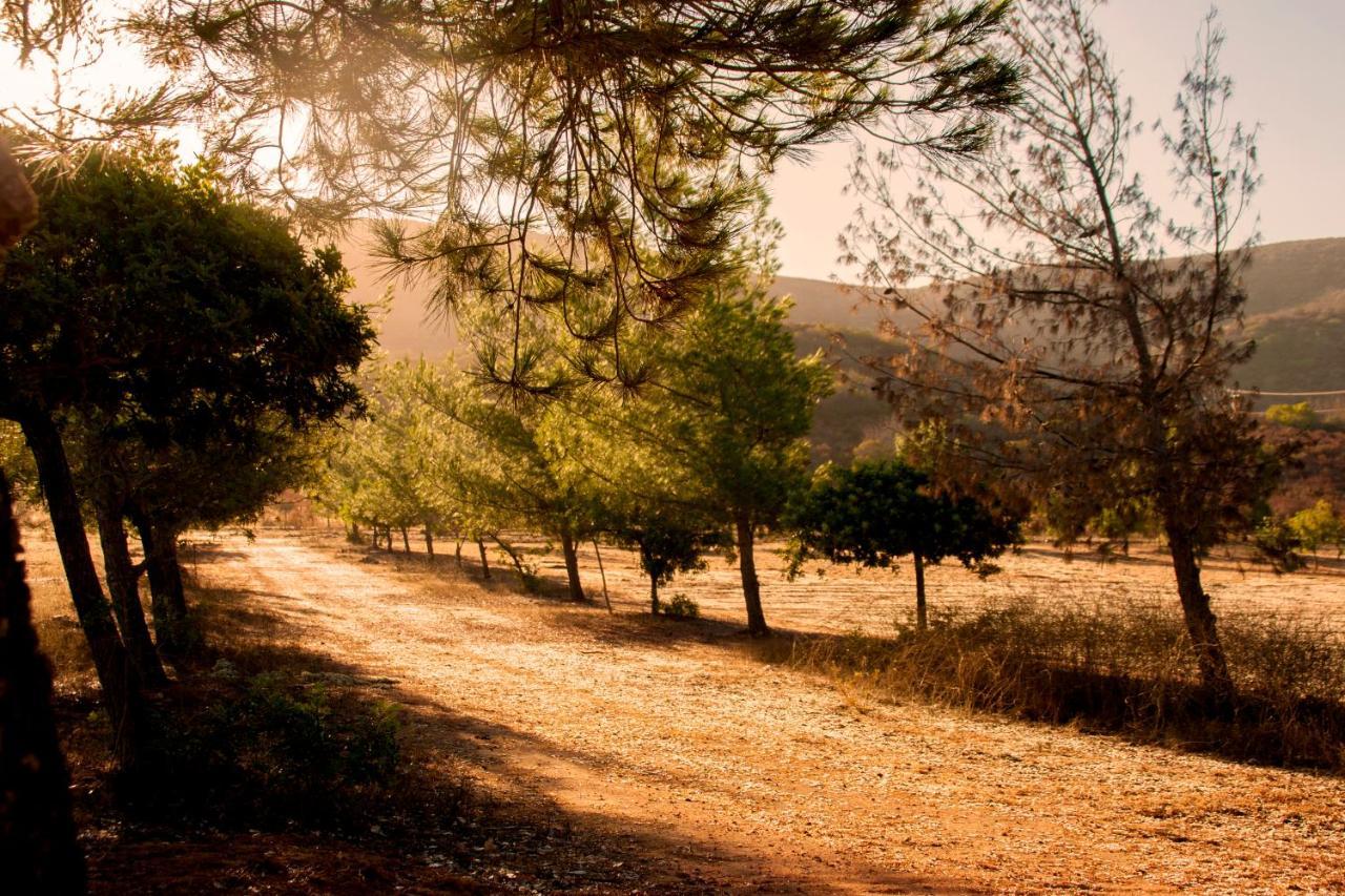 Casa Mayoral B&B Pet Friendly Valle de Guadalupe Kültér fotó