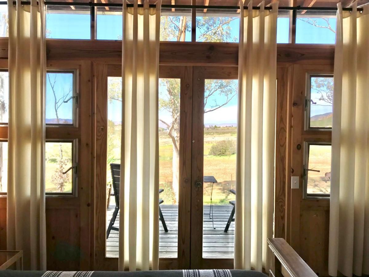 Casa Mayoral B&B Pet Friendly Valle de Guadalupe Kültér fotó