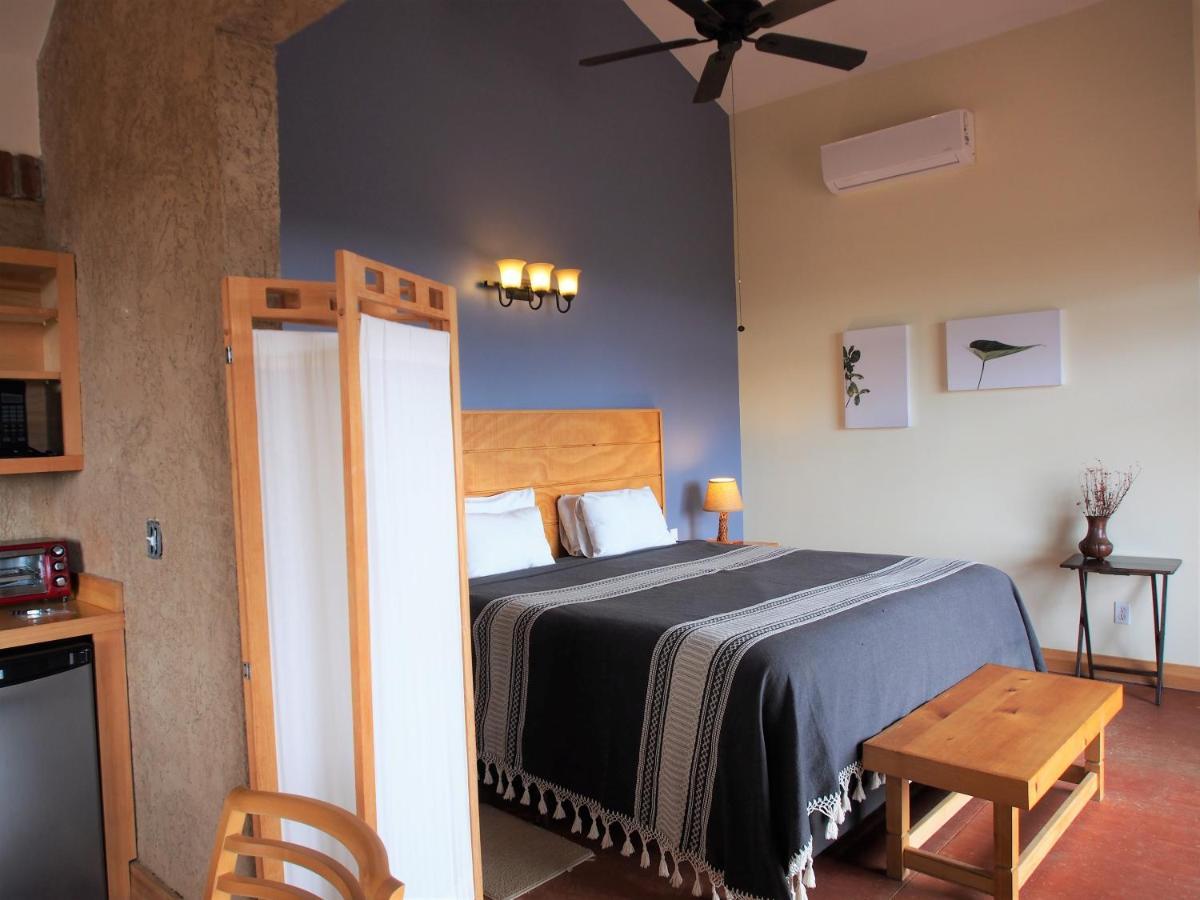 Casa Mayoral B&B Pet Friendly Valle de Guadalupe Kültér fotó