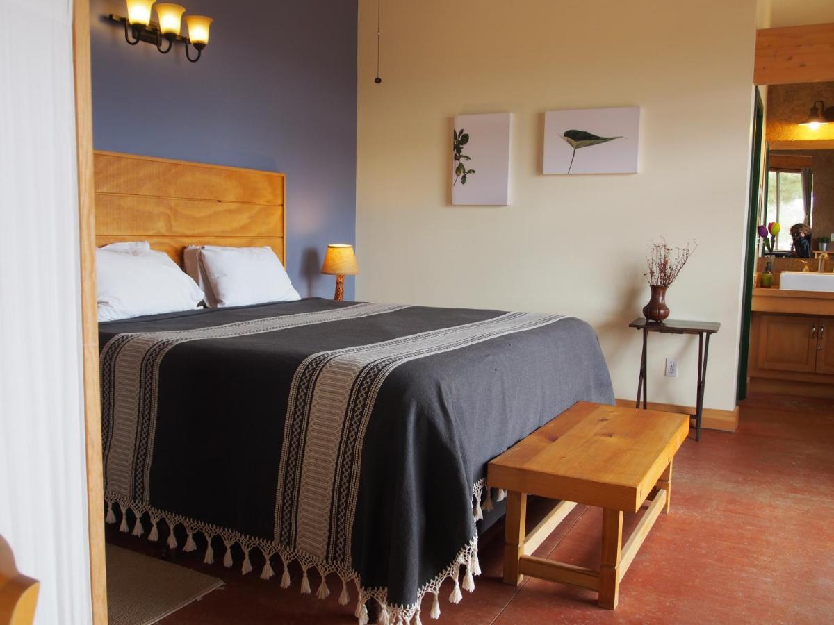 Casa Mayoral B&B Pet Friendly Valle de Guadalupe Kültér fotó